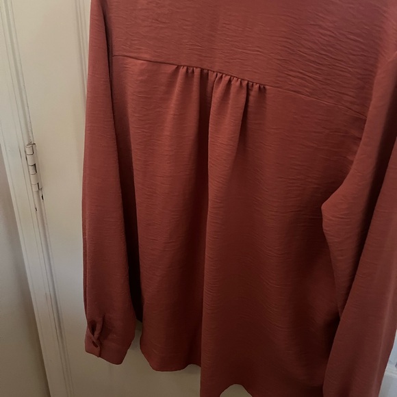 Rust Button-Up Blouse - Picture 2 of 4